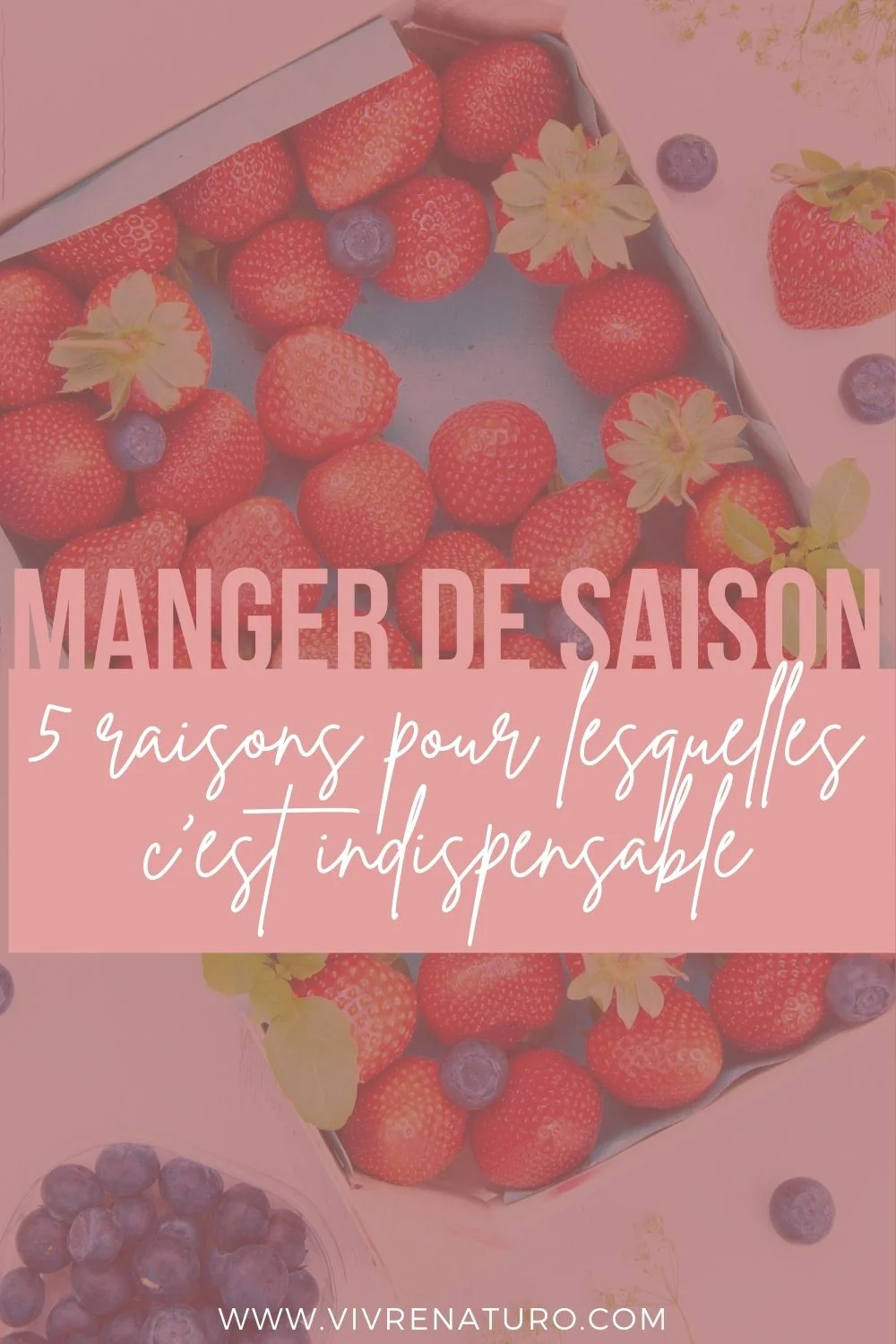 Dans cet article je vous partage 5 raisons pour lesquelles manger de saison est indispensable ! Vivre Naturo - Blog - Bien-être - #mangerdesaison #mangerhealthy #fruitsetlégumes #fruitsetlégumesdesaisons